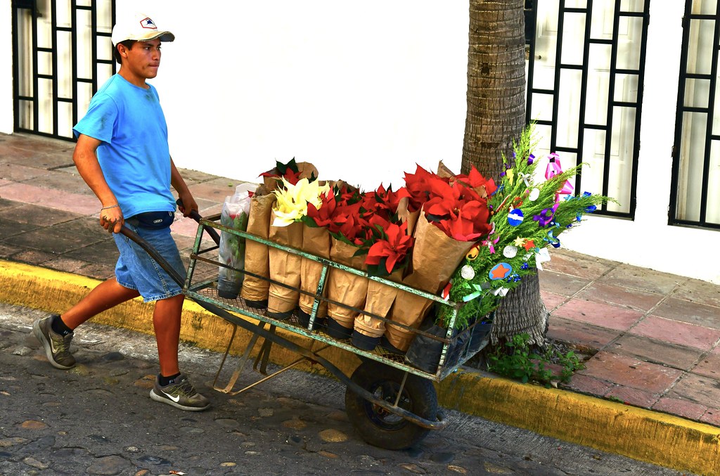 'Petal' pushing in Puerto Vallarta