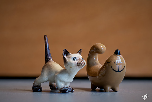 Figurines: Cat and Dog