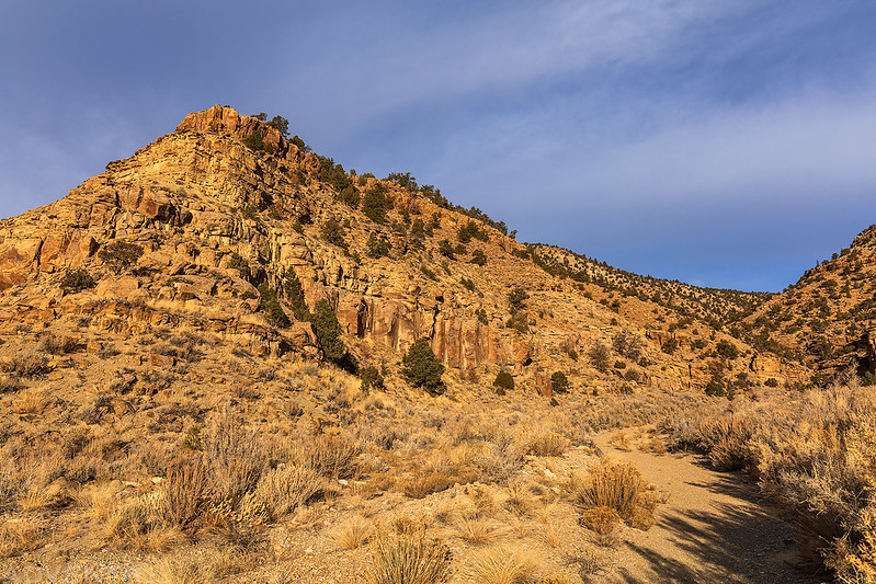 Canyon Morning