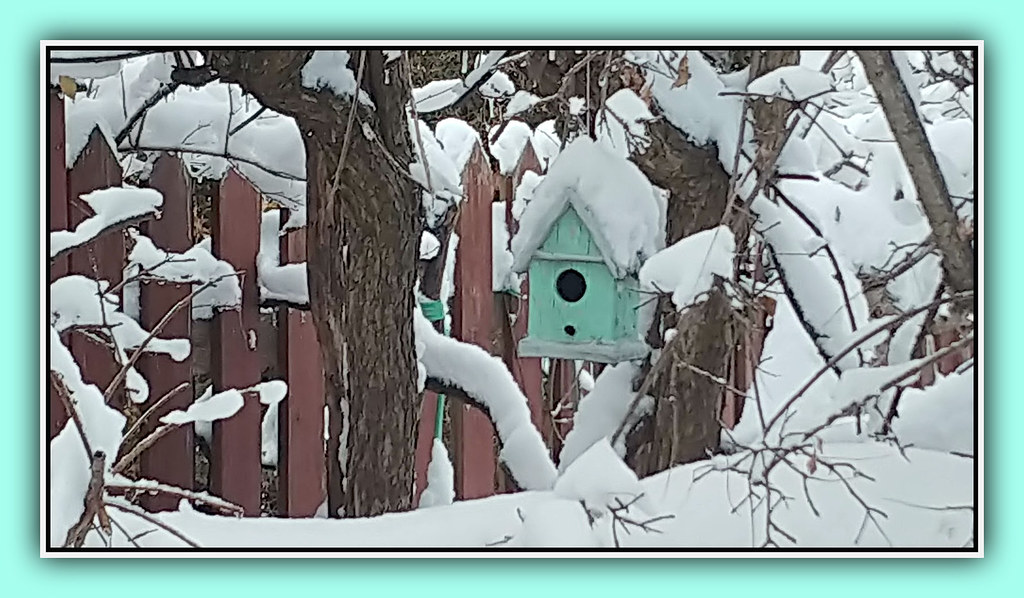 Birdhouse In Snow - Explore #195 Front Pg