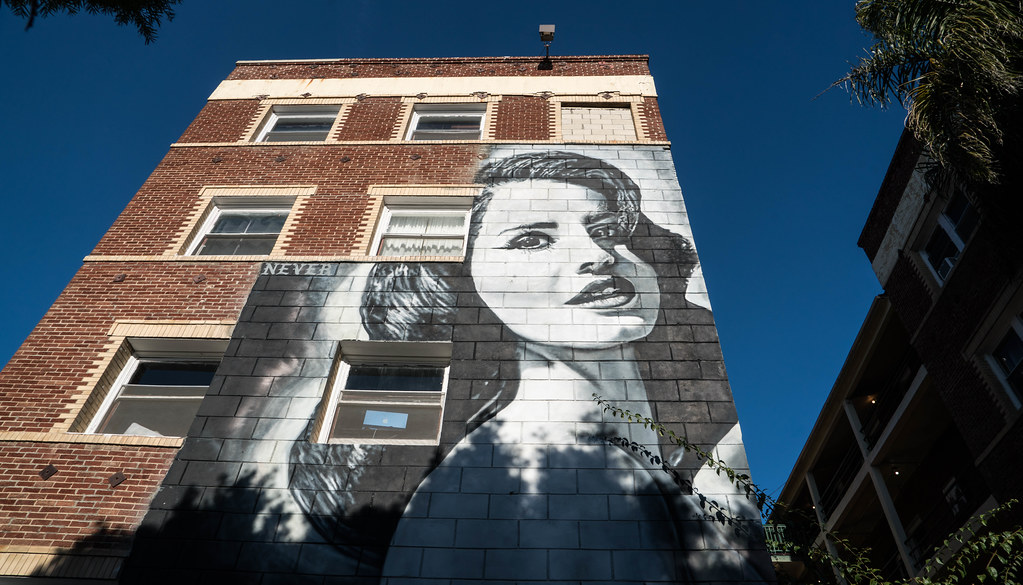 Lana del Rey Mural at the Ellison Suites - Venice Beach, C… | Flickr