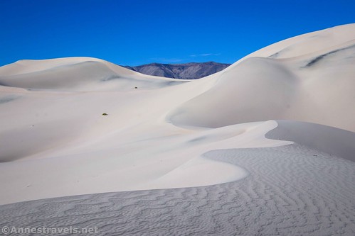 S-curves in the Panamint Dunes, Death Valley National Park, California