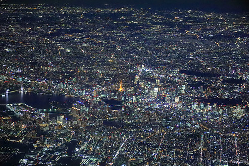 Tokyo Night JL331