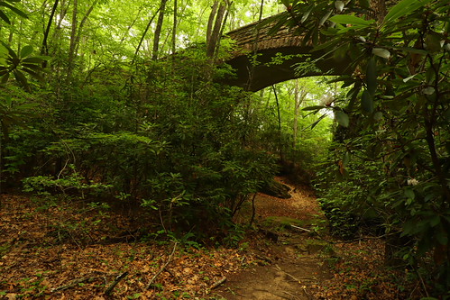 CCC Bridge | by MarcusDC