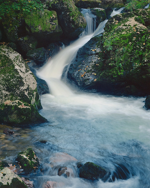 Gorges du Bourne