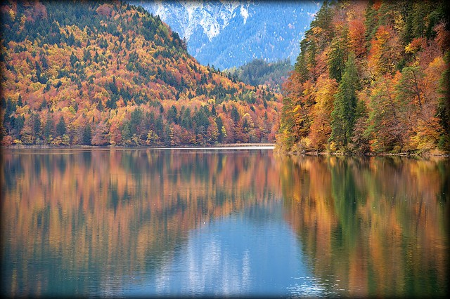 Autumnal (Alpsee, Bayern)