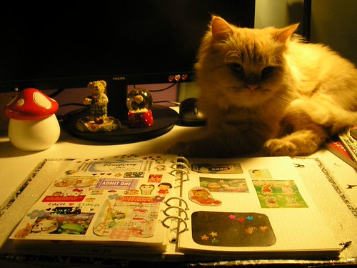 garfield | by roticheesee