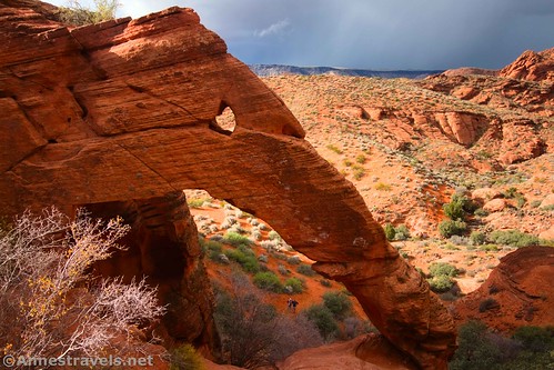Elephant Arch really does look like an elephant, Red Cliffs Conservation Area, Utah