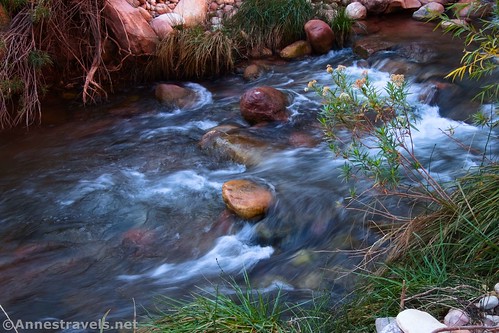 Rapids in Bright Angel Creek, Grand Canyon National Park, Arizona