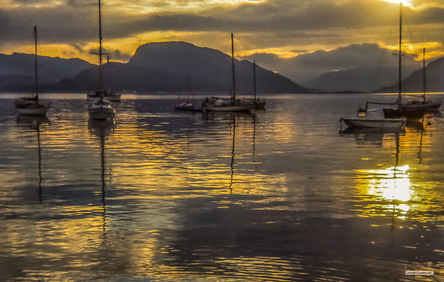 A light from heaven. Plockton Bay at sunrise, 1978, 0630, Wester Ross, Scotland.