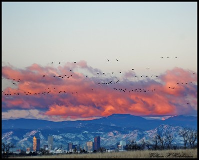Cool clouds at sunrise over Denver. (Bill Hutchinson)