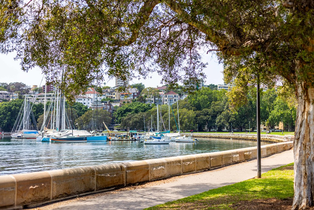 Rushcutters Bay Stock Imagery-7