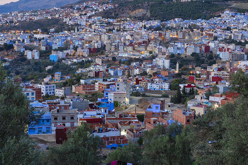 mosques rural scenicpoints chefchaouen morocco africa middleeast thebluepearl blue danielmshih 摩洛哥 藍城 舍夫沙萬 藍 bluecity cat 貓 mosque chefchaouenmedina