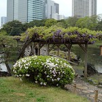 hibiya park in Tokyo, Japan 
