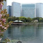 hibiya park in Tokyo, Japan 