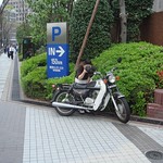                                 in Shinjuku, Japan 