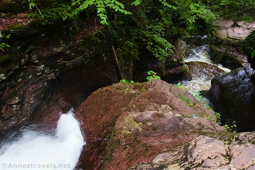 Looking down on the gorge that houses Adams Falls, Ricketts Glen State Park, Pennsylvania