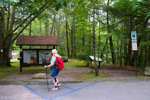 Walking over to the kiosk at the Evergreen Trailhead - the trail is to the right, behind the handicap parking signs.  Ricketts Glen State Park, Pennsylvania
