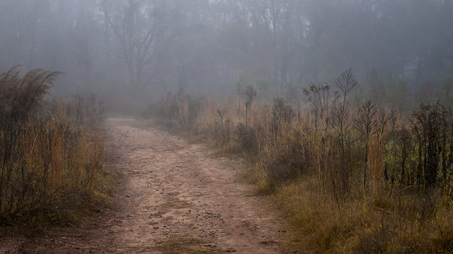 Path into mist