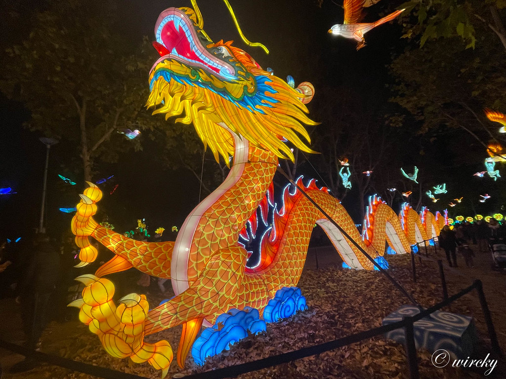 Dragón en linternas asiáticas