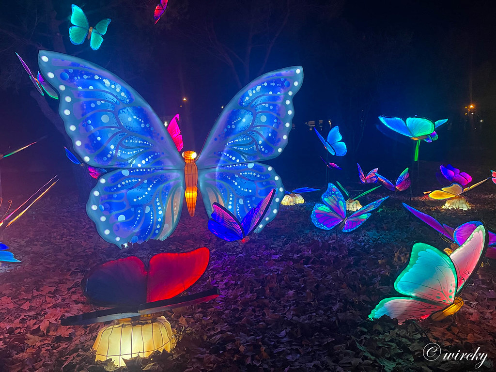 Mariposas en linternas asiáticas - Visita al Parque de la Navidad de Torrejón de Ardoz