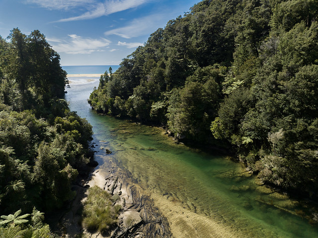 Rainforest River in New Zealand