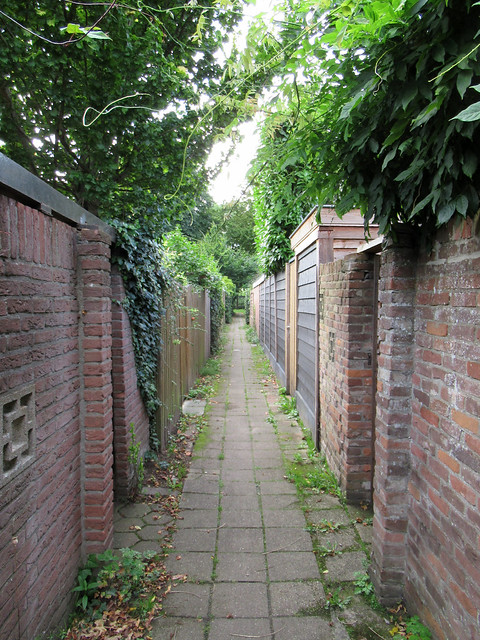 Typical Dutch backyard alley