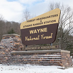 Wayne National Forest Sign A Wayne National Forest sign in the winter.

Forest Service photo by Kyle Brooks