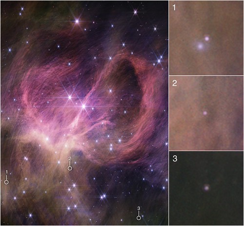 Brown Dwarfs in IC 348 (NIRCam Image)