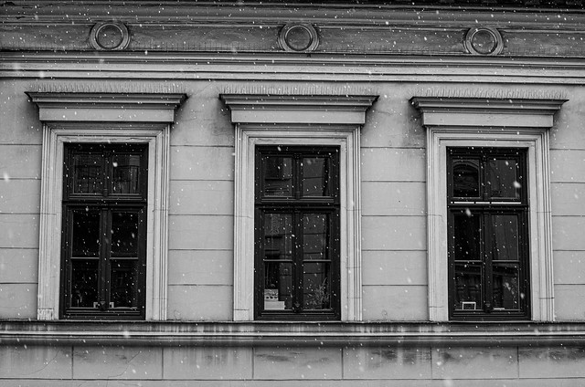 Windows during a snowfall