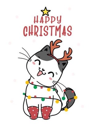 meowycatmas