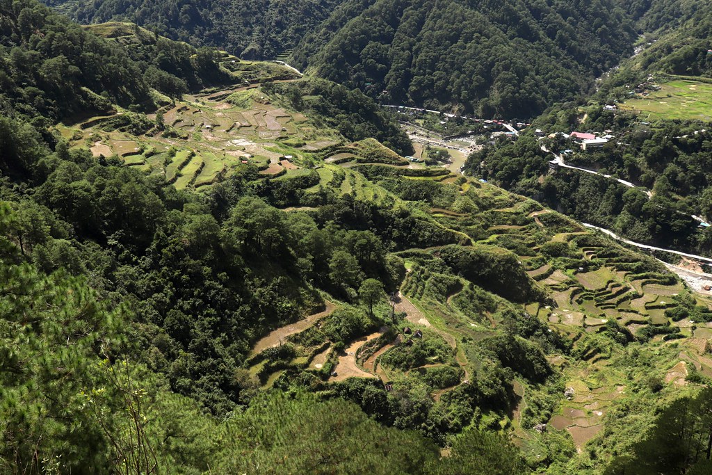 Alab Petroglyphs: 3,500-Year-Old Philippine Rock Art is Vanishing ...