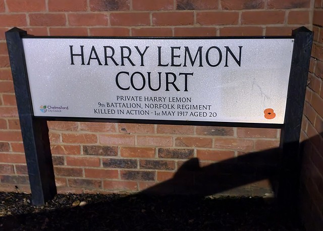 Chelmsford, Harry Lemon Court