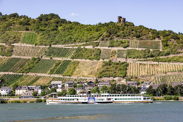 Lorch am Rhein, Rheingau, Rhine Gorge, Middle Rhine, Nassau, Germany