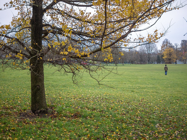 Gloomy Autumn Walk In The Park