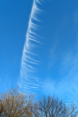 Cloud feather