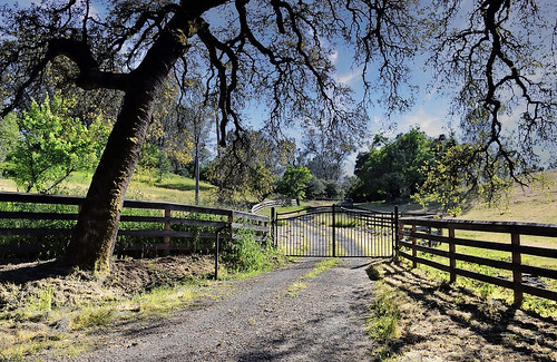 gate farm fence auburn countryside country tree eldoradocounty eldorado california ca usa landscape
