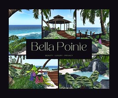 Bella Pointe Ads - 10