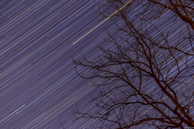 Star tracks on a clear night in Burke VA (Dec 13)