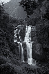 #3609 Ramboda waterfall ll
