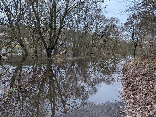 River Regen Cycle path flooded