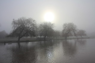 Fog on the Avon