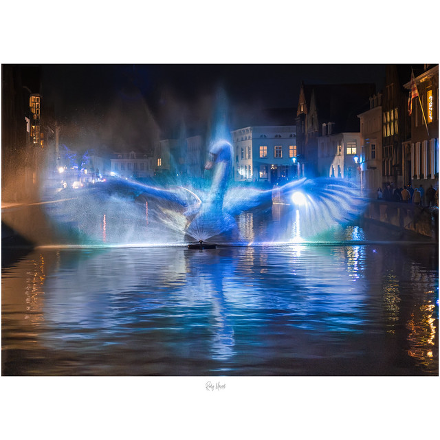 Romantic Swans: 'The Story of the Swan' in Bruges