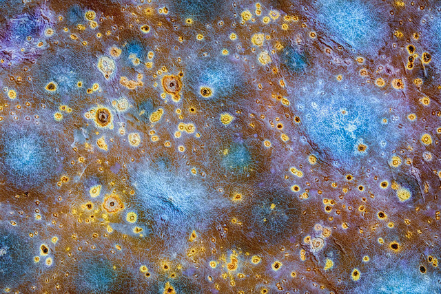 Tangerine peel under a microscope. UVIVF. HDR