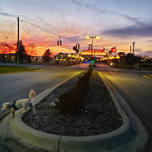 Walking My Dog by the Casino Entrance by Mike Sherman Michigan Artist, fall photo december mt michigan mid pleasant isabellacounty sunset scit soaringeaglecasinoandresort 