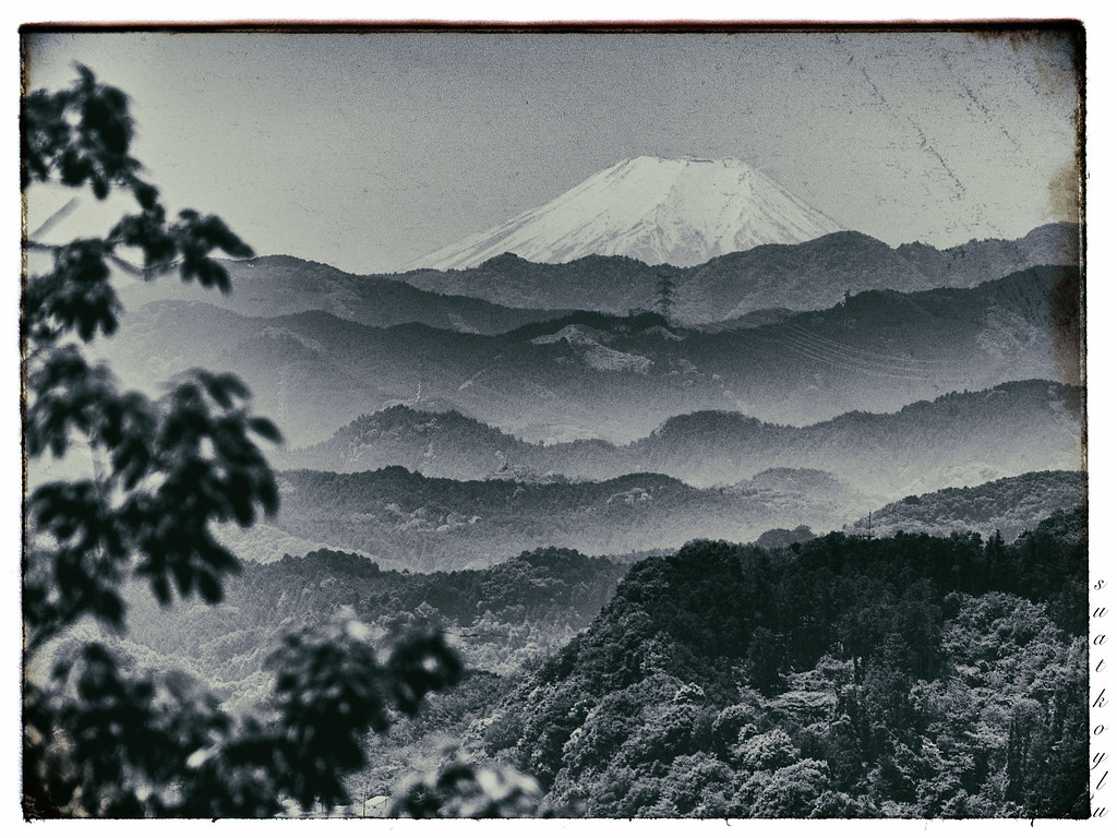 The Fuji