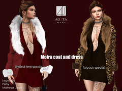 Moira coat and dress @