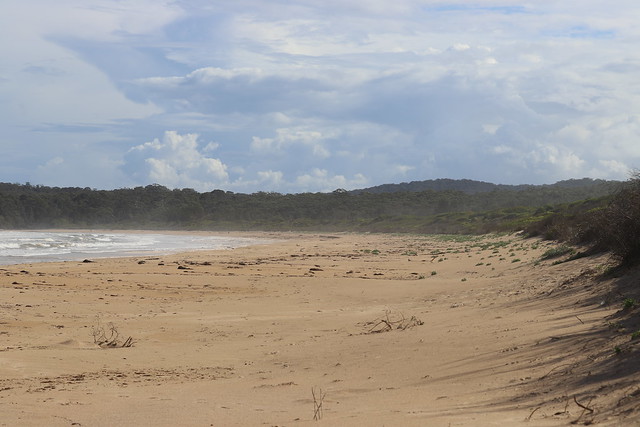 South Durras Beach, New South Wales