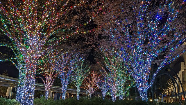 Roppongi Hills Holiday Illumination - Tokyo, Japan