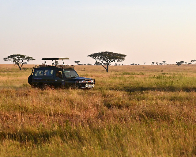 Serengueti, el Parque Nacional más bonito de Tanzania
